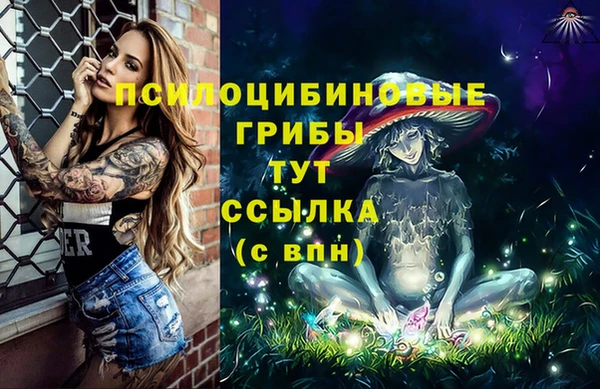 прущий лед Алзамай