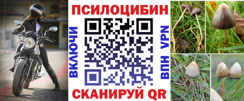 мориарти официальный сайт Глазов Галлюциногенные грибы Cubensis продажа наркотиков