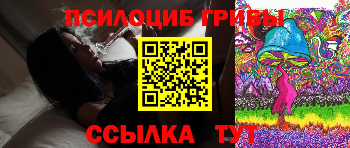 Псилоцибиновые грибы мицелий Глазов