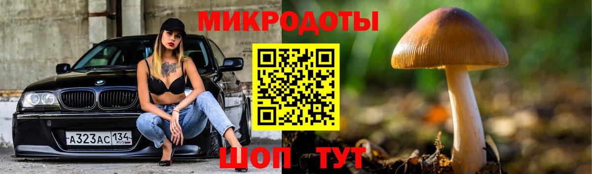 Галлюциногенные грибы Psilocybe  где найти наркотики  Глазов  Вход с VPN 